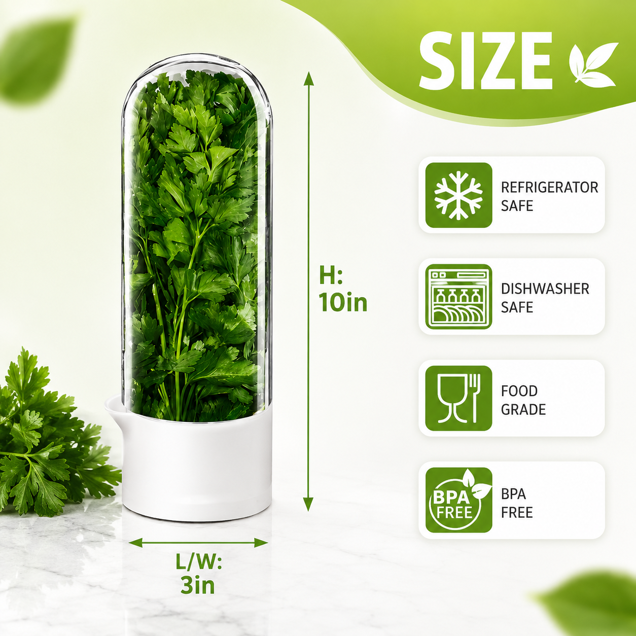 Fresh Herb Saver Container | Vegetable & Coriander Saver | Keeps Greens Fresh for 2-3 Weeks