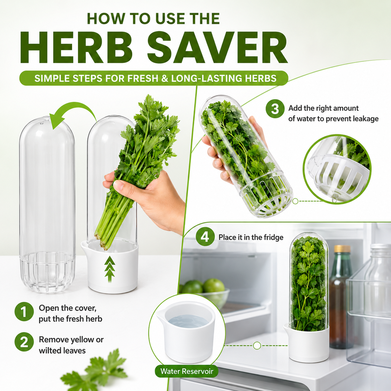 Fresh Herb Saver Container | Vegetable & Coriander Saver | Keeps Greens Fresh for 2-3 Weeks